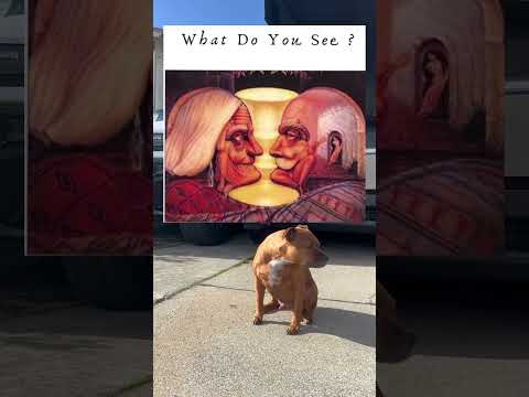 Ik ben bang om ** te kopen. Zo bestel ik als 30-jarige met sociale angst. @jacksfilms