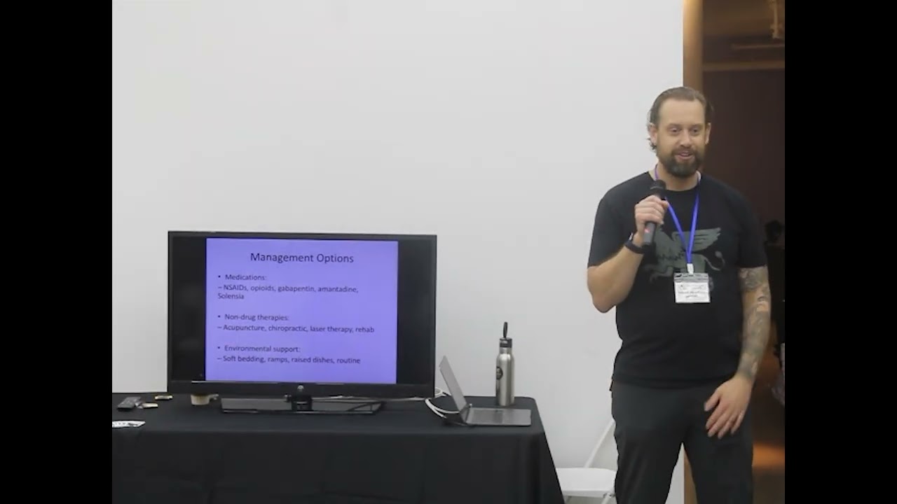 YYC Cat Festival Cat Chat: Arthritis and pain management