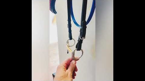 The Bowman Arch Mouth Half Cheek