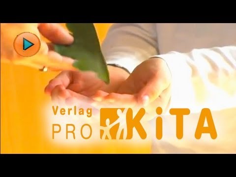 Kita Leiterin Verlag Prokita (Produktfilm 2011)