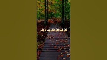 #تلاوات #القرآن #quran #القرآن_الكريم #تلاوات_خاشعة #تلاوة #تلاوة_خاشعة #القارئ #محمد_ايوب#reels