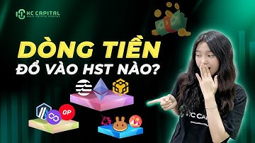 CÁCH ĐỌC HIỂU VÀ ÁP DỤNG QUY LUẬT DÒNG TIỀN TRONG CÁC HỆ SINH THÁI #2 | HC CAPITAL