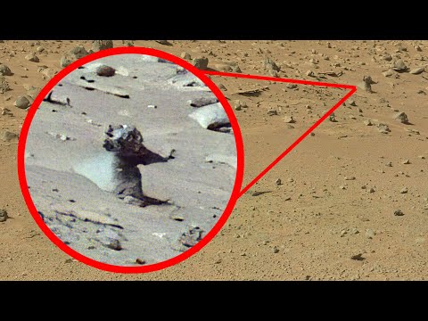 Vídeo: En Una Foto De Marte De La NASA, Vimos Algo Muy Similar A Una Araña - Vista Alternativa