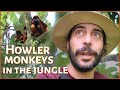 Chasing howler monkeys in a colombian rainforest  adventure travel ft turaco tours