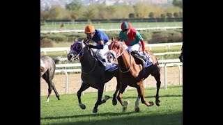 Huriyet Koşusu Grup - 1 27102018