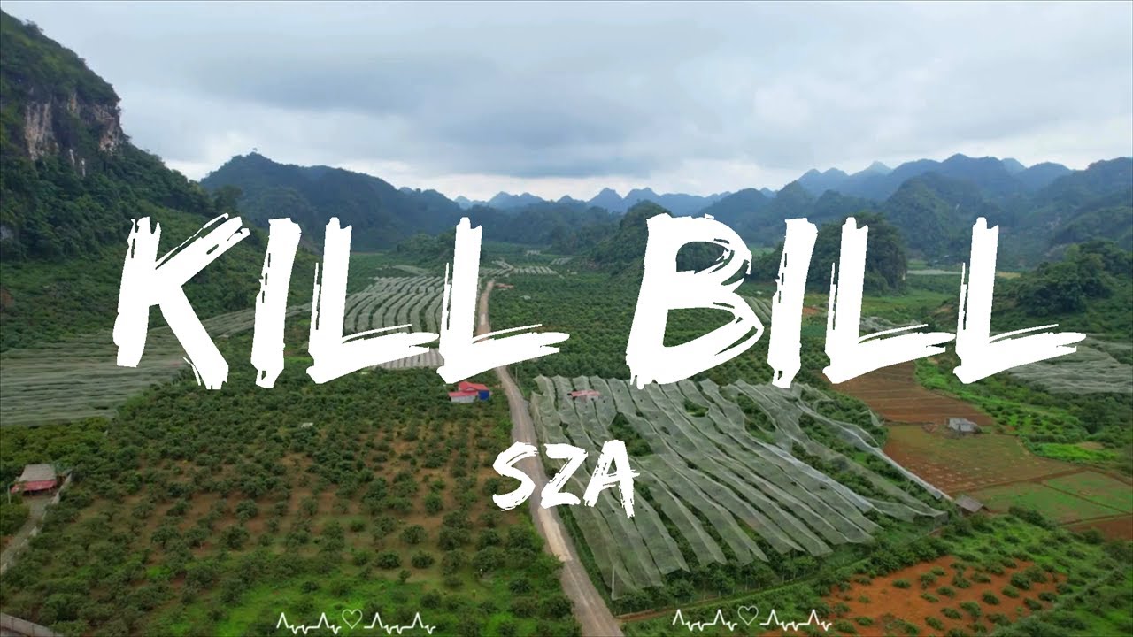 SZA - Kill Bill  || Xavier Music