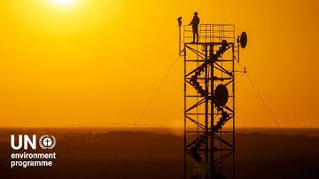 Announcing the 2024 Champions of the Earth Awardees