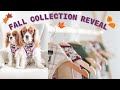 OUR FALL COLLECTION REVEAL! Dog Accessories for fall from Cavology