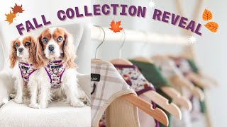 OUR FALL COLLECTION REVEAL Dog Accessories for fall from Cavology