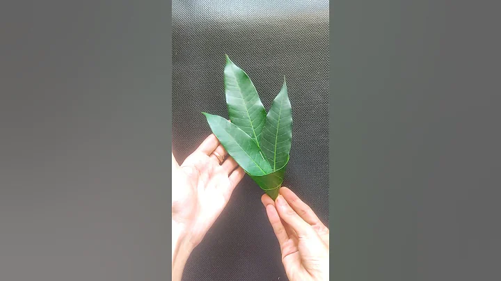 Diwali decoration ideas for home / Diwali decoration 2025 #diy #diwali #decoration