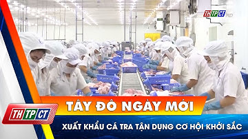 Xuất khẩu cá Tra tận dụng cơ hội khởi sắc | Cần Thơ TV