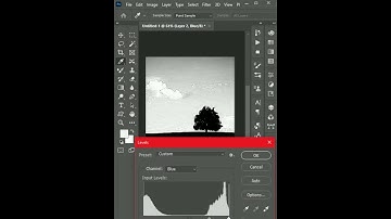 Channel Masking Used in Adobe Photoshop