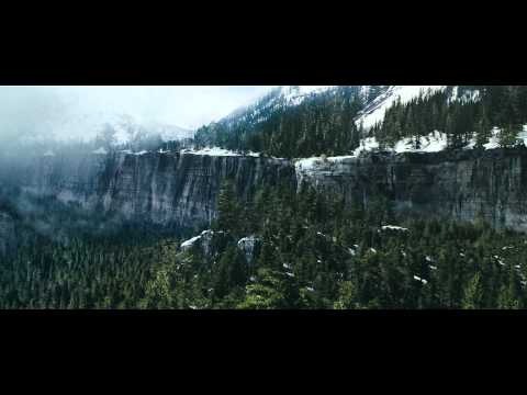 The Grey -
