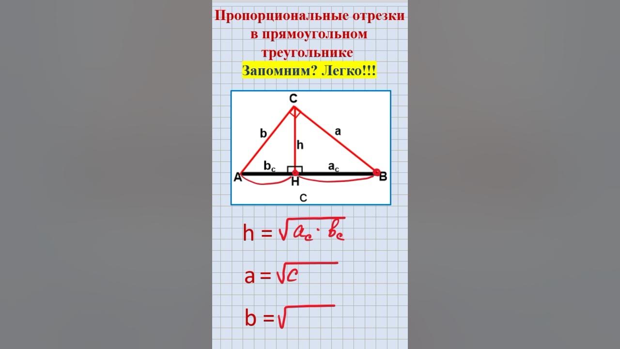 Укажите пропорциональные отрезки на заданном чертеже