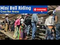 EXTREME Mini Bull Riding