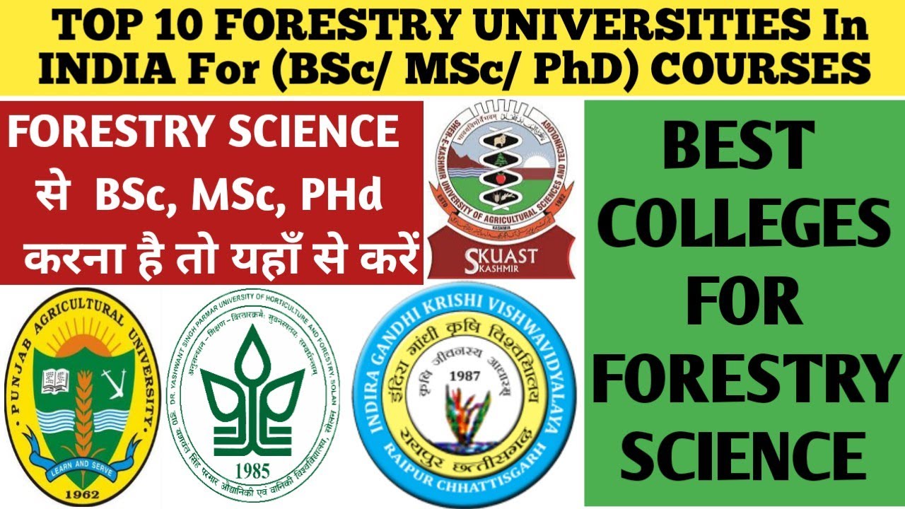 Top 10 Forestry Universities In INDIA | Career & Scope in Forestry ...