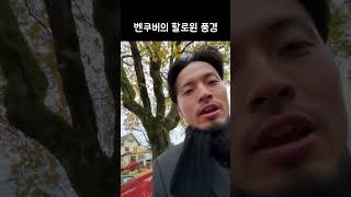 캐나다의 할로윈 #밴쿠버 #할로윈