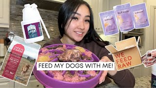 LET'S FEED THE DOGS l UPDATED FEEDING ROUTINE