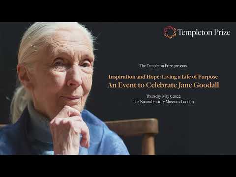 Inspiration and Hope: An Event to Celebrate Jane Goodall
