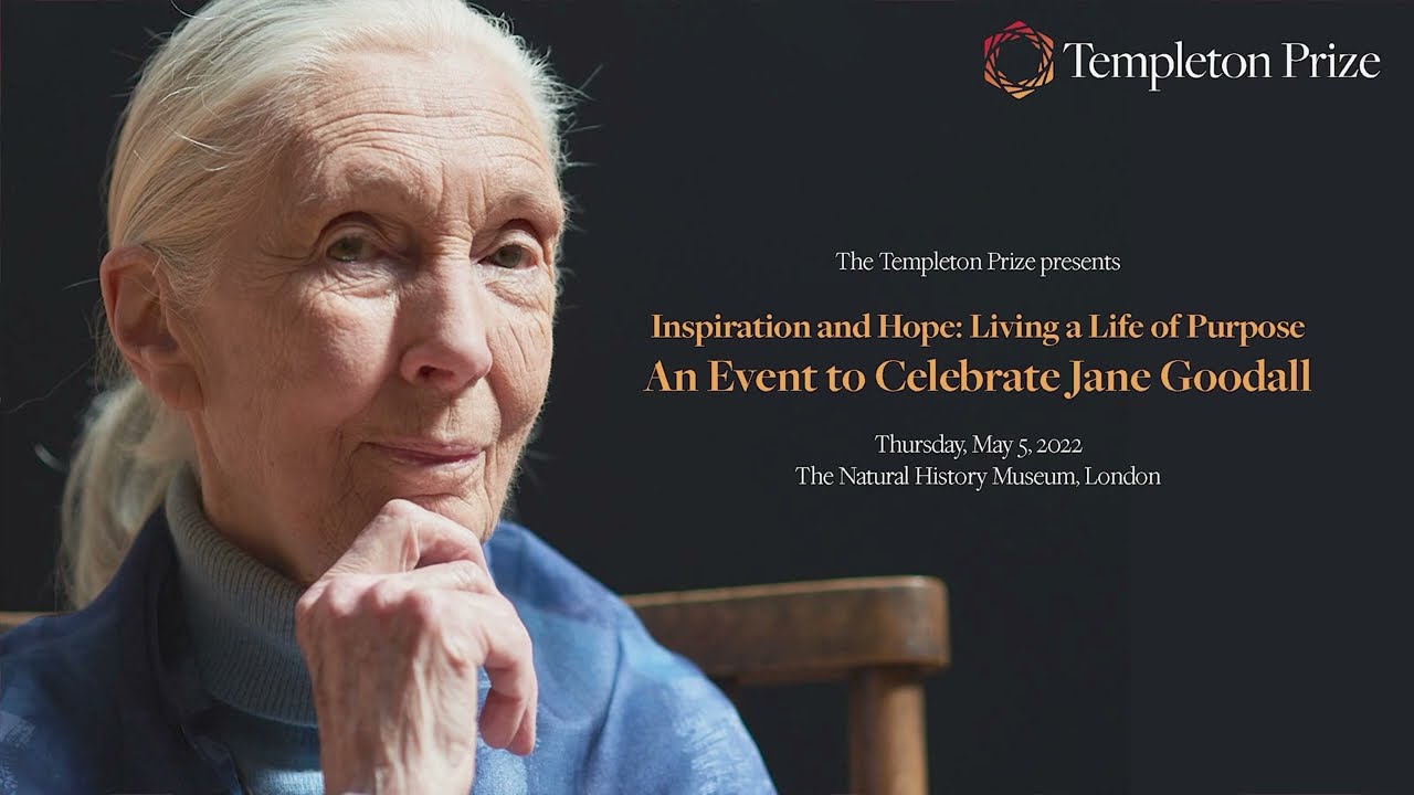 Jane Goodall's legacy of empathy, curiosity, and courage