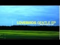 Lovebirds  gentle  teardrop music