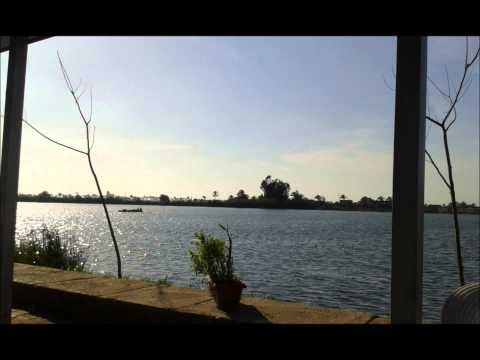 اعيش احبك اموت احبك