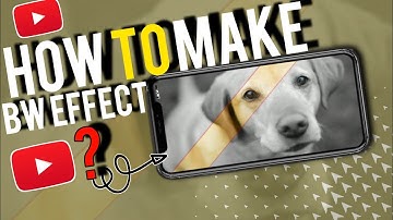 Color in Black & White effect | KineMaster Tutorial