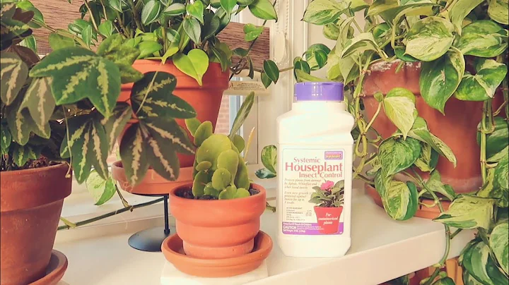 Revolutionize Your Indoor Garden with Bonide Systemic Houseplant Insect Control