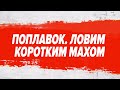 Как поймать 300 рыб за час на поплавок? Ловля коротким махом