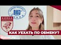 ПРОГРАММА ОБМЕНА ДЛЯ СТУДЕНТОВ | учёба зарубежом бесплатно