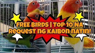 Free Birds Sa Makakasagot! Top 10?