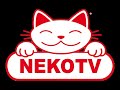 La ipermini storia di neko tv e i due junior tv con loquendo