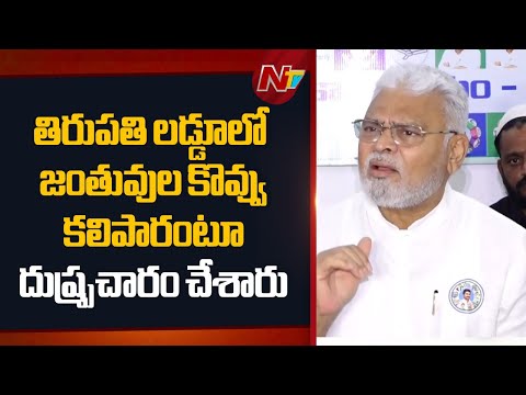 Tirumala Laddu Case : చంద్రబాబు అవకాశవాది, అధికారం కోసం దేనికైనా తెగిస్తారు : Ambati Rambabu | NTV - NTVTELUGU