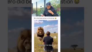 The Lion Trippen