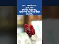 "Тот самый вкус детства!" Вышивка бисером. Брошь-леденец, которую хочется съесть 🍭