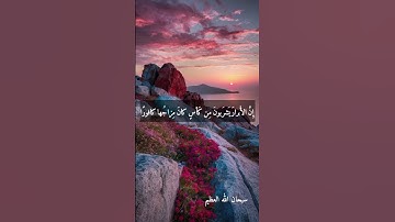 الشيخ عبد الفتاح الطاروطي --نوادر روعه ممتاز جدا نادر #تلاوات نادره