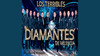 Miniatura del video "Los Terribles Diamantes de Valencia - No Te Vayas No"