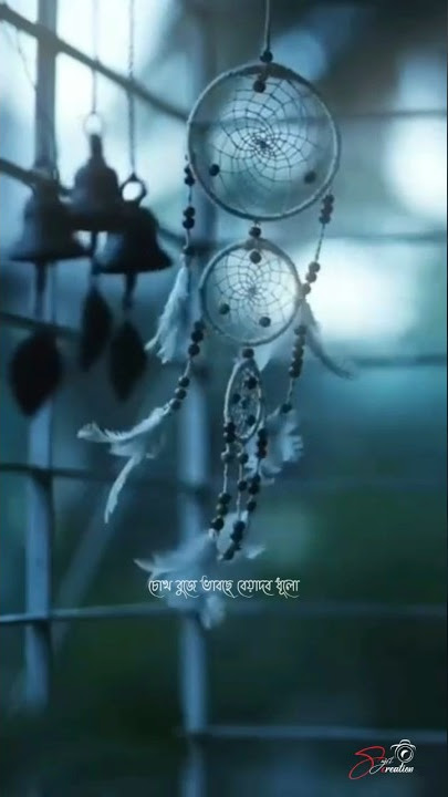 Aj Ak Nam Na Jana kono Pakhi Status // Bengali Song WhatsApp Status#shorts