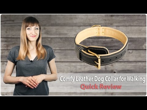 extra-soft-&-comfy-leather-dog-collar-for-walking---royal-gift---review