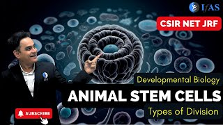 Animal Stem Cell - Types of Division I Developmental Biology for CSIR NET I IFAS