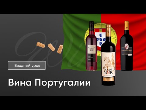 Курс "Вина Португалии". Вводный урок