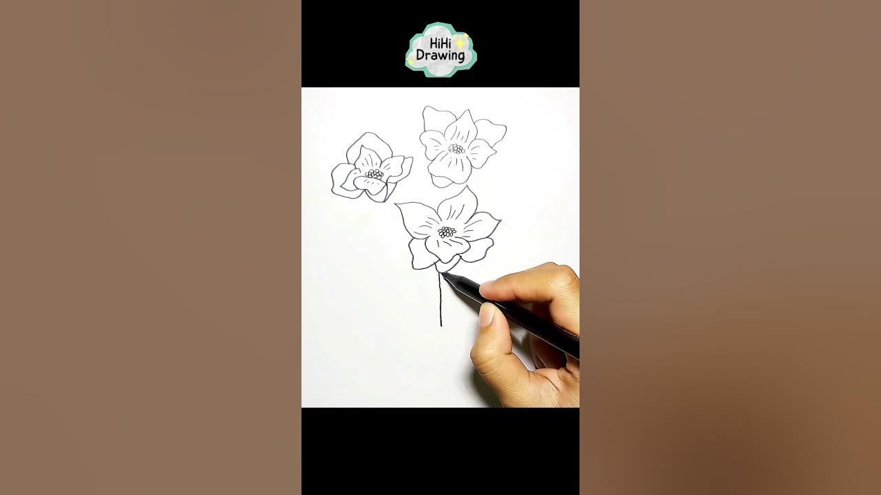 Drawing Freesia #freesia #flower #flowers #drawing #draw #easydrawing #howtodraw #hihidrawing