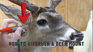 How to airbrush a deer mount