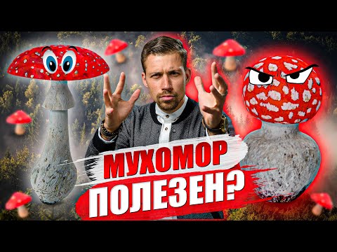 Гриб МУХОМОР. Зачем нужен? Как правильно употреблять гриб?