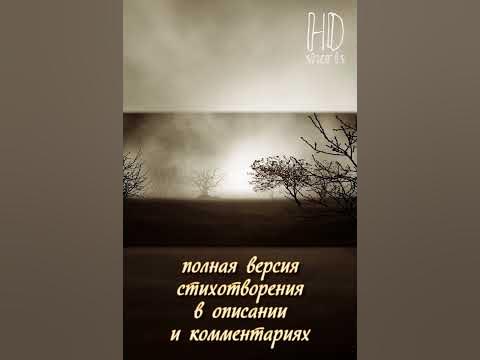 НАТЮРМОРТ | Иосиф Бродский - YouTube