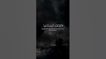 #آمن_الرسول_بما_انزل_اليه_من_ربه_والمؤمنون🌿#سورة_البقرة #قرآن #اسلام_صبحي #المصحف #اكسبلور