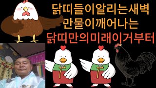 닭띠 닭띠운세   닭띠신수 닭띠 대박  닭띠 조심