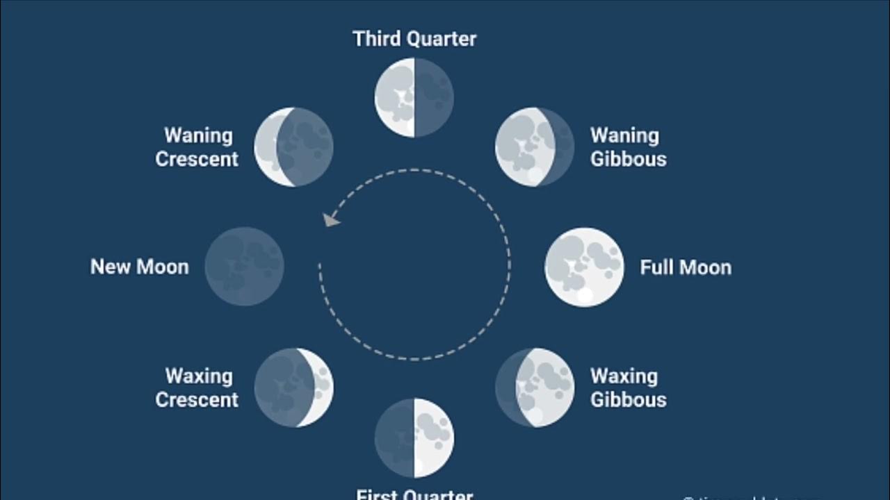 First supermoon of 2023: Why is it called the Buck Moon? EconomicTimes