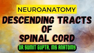 DESCENDING TRACTS OF SPINAL CORD : An overview DESCENDING TRACTS OF SPINAL CORD : An overview