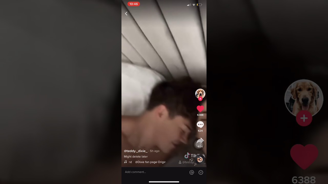 Noah Beck and Dixie Damelio LEAK KISS IN BED on Dixie’s Friends ONLY TIKTOK...